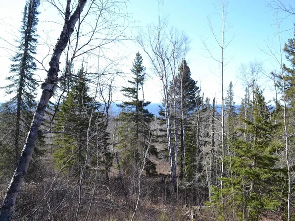 91 Birch Cliff Dr, Tofte, MN 55615