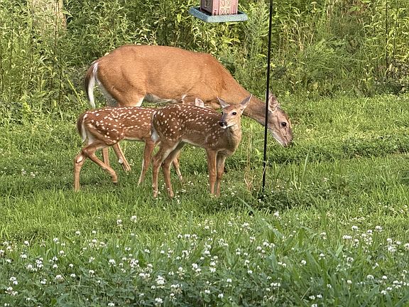 86th image of this home