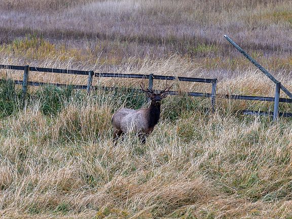 84th image of this home