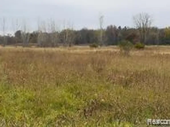 Vacant Sherwood Rd, Fowlerville, MI 48836