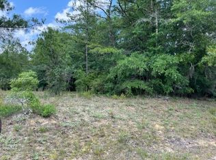 0 Stokes Bluff Rd, Pineland, SC 29934