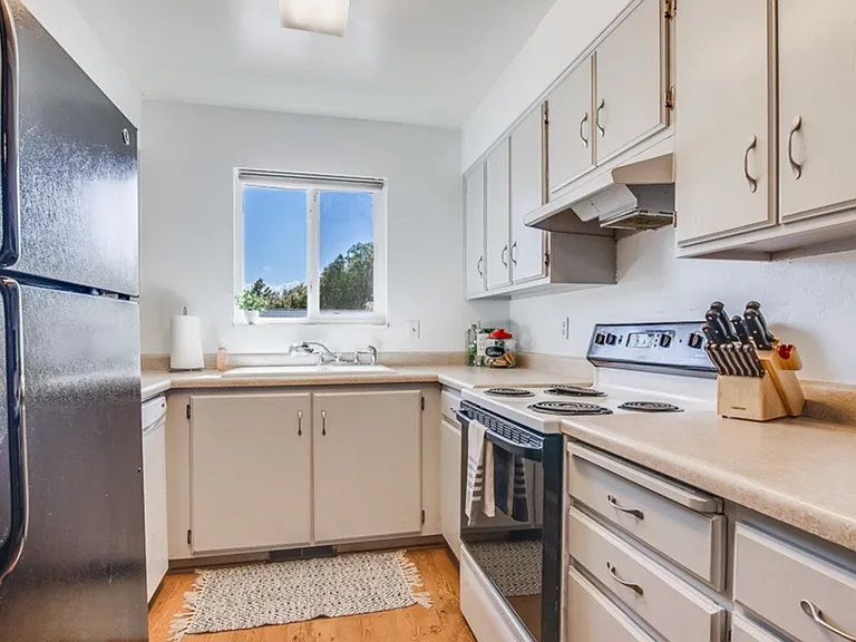 299 Birchwood Dr — Photo 8