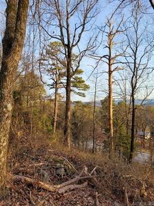 Highway 309, Paris, AR, 72855