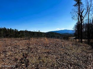 107125 Chestnut Mountain Rd LOT 1, Reliance, TN 37369