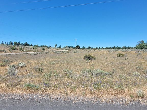 4th image of 1500 Summer Tree Ln
