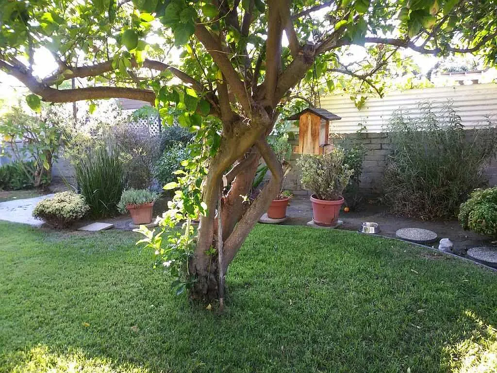 3922 Boyce Ave — Photo 2