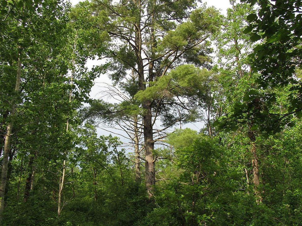 2nd image of 32 Ave SW