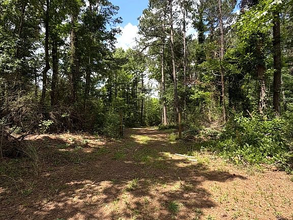 2nd image of 0 County Road 245 Rd