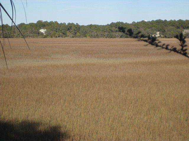2nd image of 911 Marsh Dunes Rd