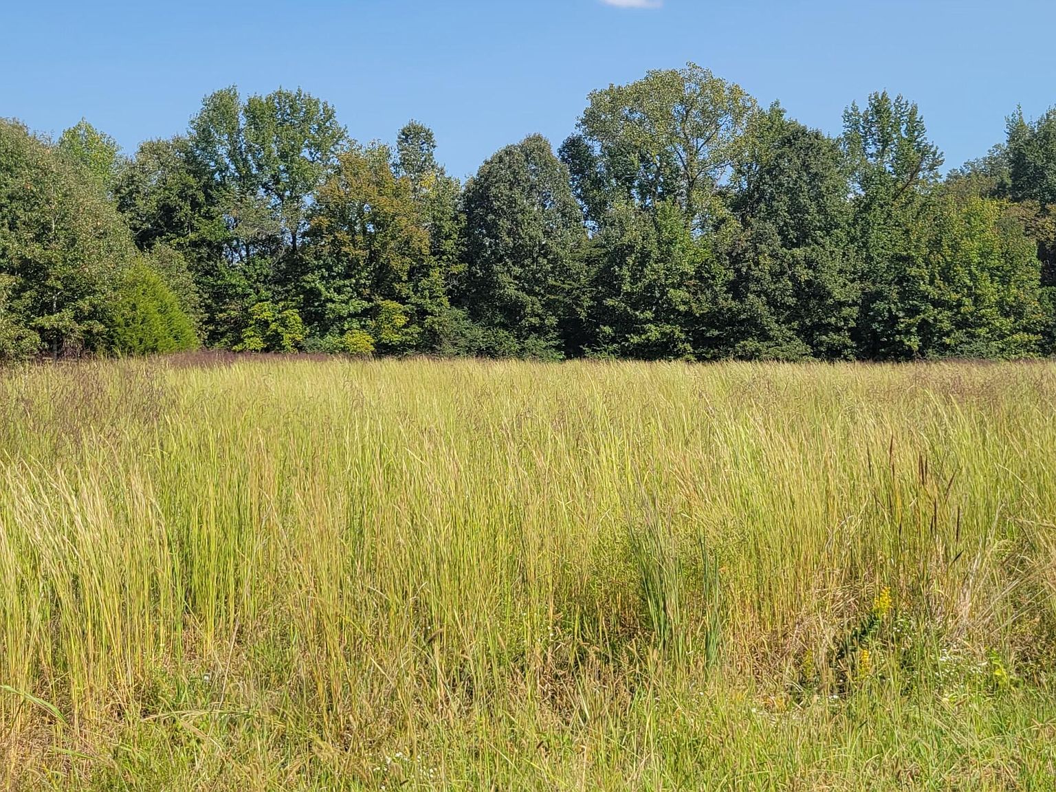 Golden Way, Coldwater, MS 38618 Zillow