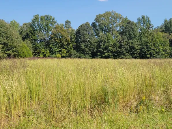 Golden Way Lot 54, Coldwater, MS 38618