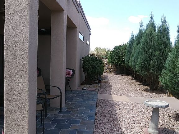 Back Yard Patio Trees