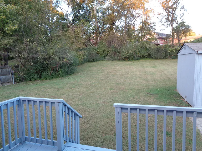 Back yard
