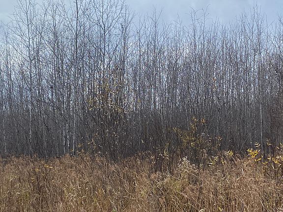 4th image of Near Timber Rd