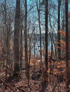 102 Warpaint Ln, Westminster, SC, 29693