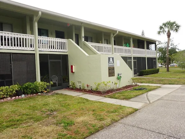 20853 Haulover Cv #A13, Lutz, FL 33558