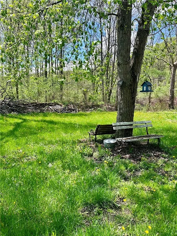 35 Burch Hill Rd photo 1