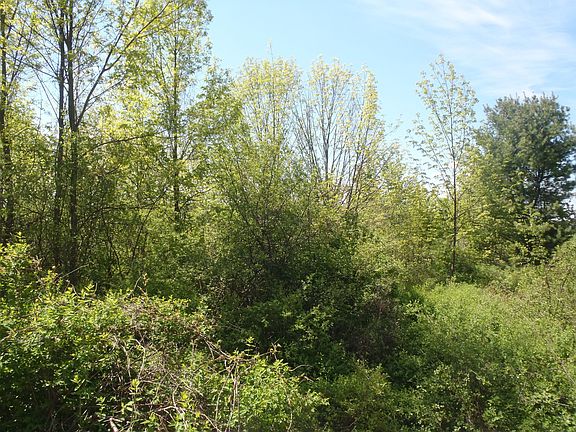 acreage across street