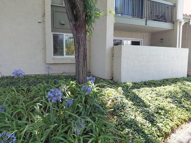 5518 Armitos Ave #93 — Photo 9