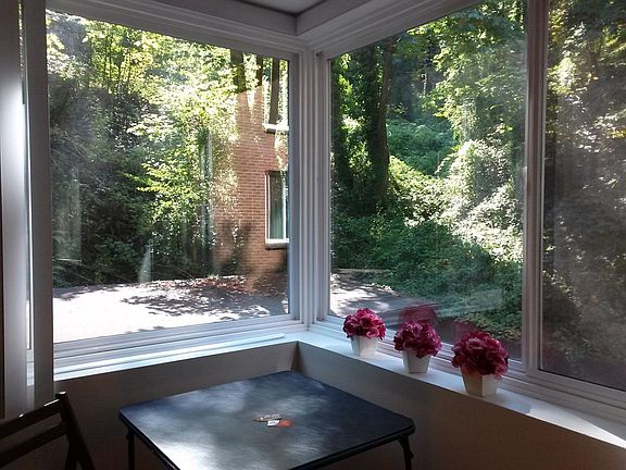 Back Window