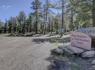 12808 Piano Meadows Dr LOT 10, Conifer, CO 80433