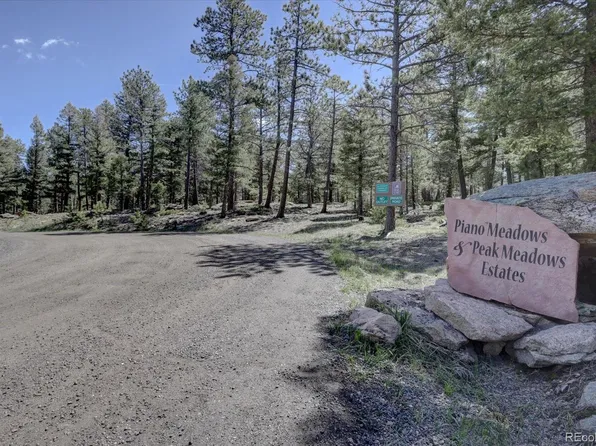12808 Piano Meadows Drive LOT 10, Conifer, CO 80433