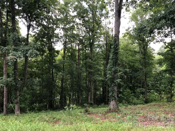 45 Sweet Fern Pkwy #43, Asheville, NC 28804