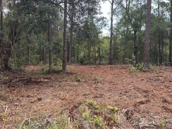9251 N Evenstock Way Lot 3, Crystal River, FL 34428