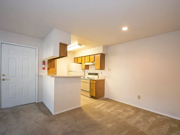 2911 Sycamore Springs Dr — Photo 47