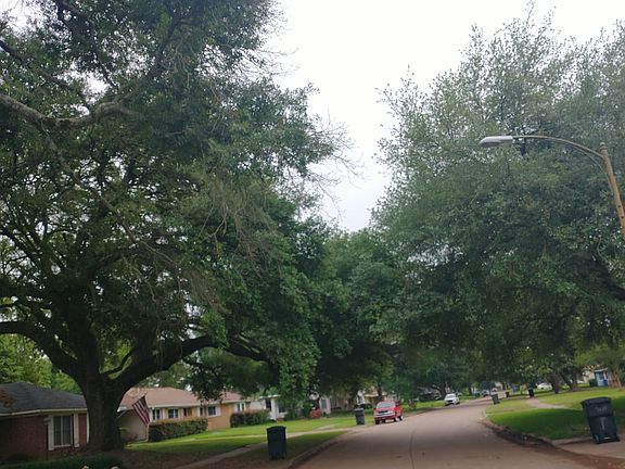 5th image of 3643 Parkway Dr