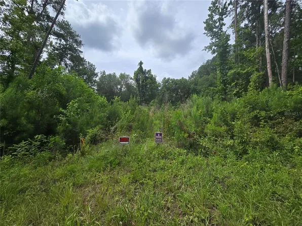 316 Sequoia Dr Lot 45, Ocklawaha, FL 32179