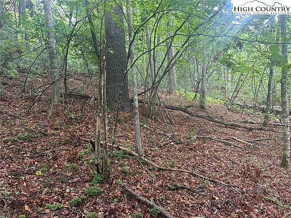 4th image of Lot 3 Cedar Cove Lane
