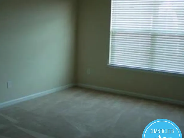 105 Chandler Springs Dr #1 — Photo 10