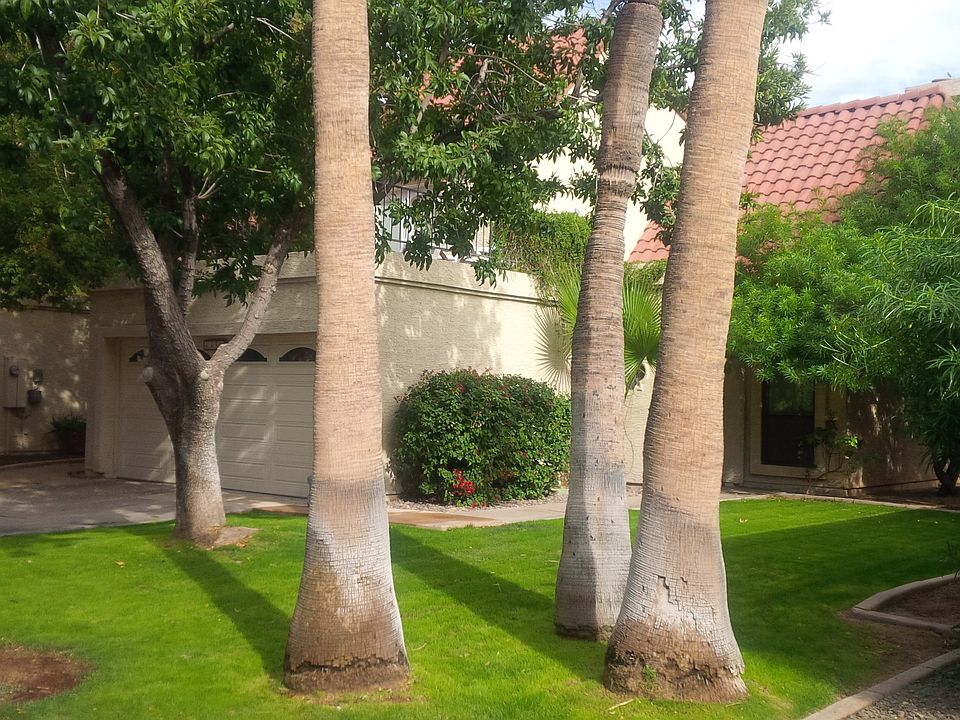 1st image of 6459 S Willow Dr