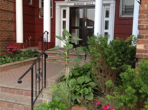 114-20 Queens Boulevard #8, Forest Hills, NY 11375