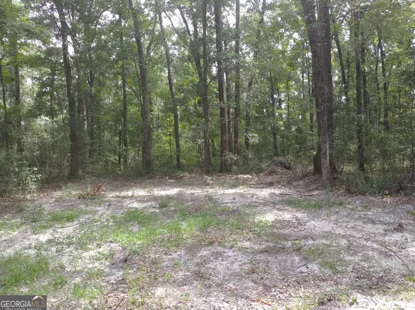 1046 Harmony Hill Ln NE, Townsend, GA 31331