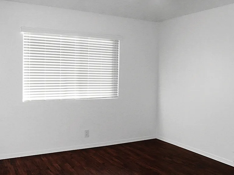 Our windows have horizontal blinds.