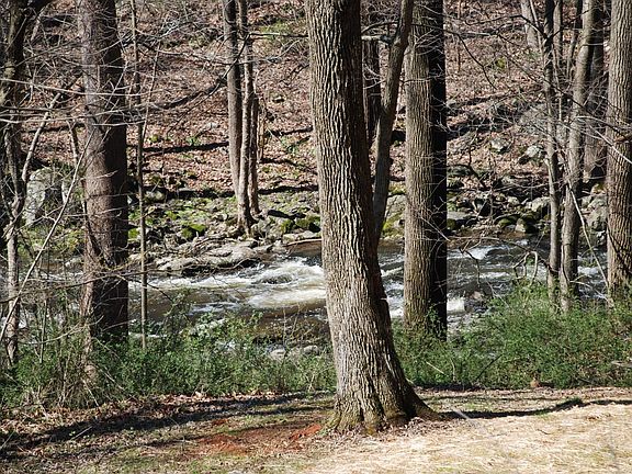 Brandywine River