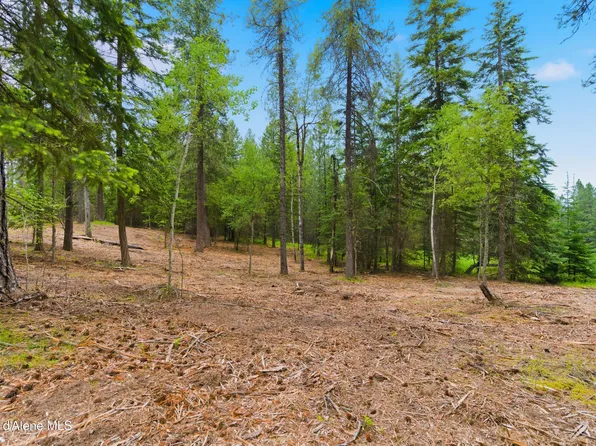 PARCEL S Dunlap Rd #C, Harrison, ID 83833