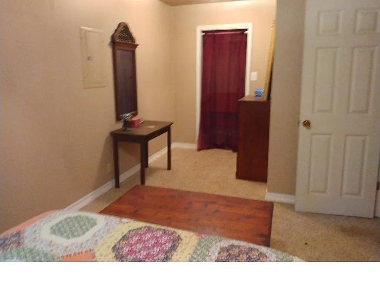 2155 Snow Lake Dr — Photo 17
