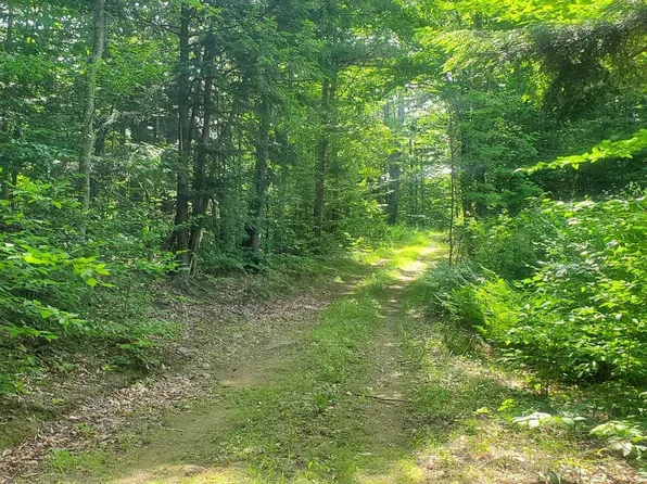 Gordon Hill Road #2, New Hampton, NH 03256