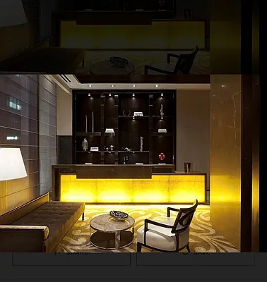 Rented by Douglas Elliman | media 20