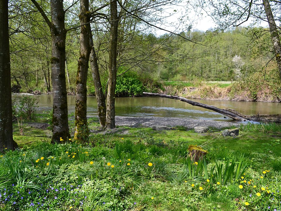 otters, beavers, critters etc....