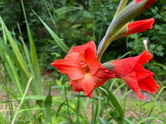 68th image of this home