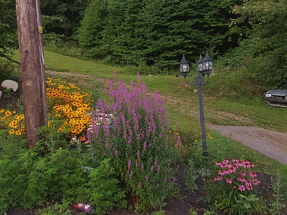 Beautiful Gardens