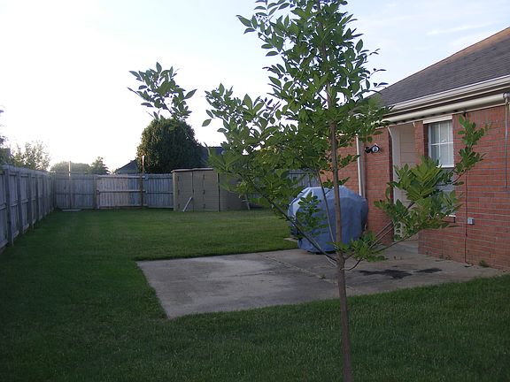 Back Patio
