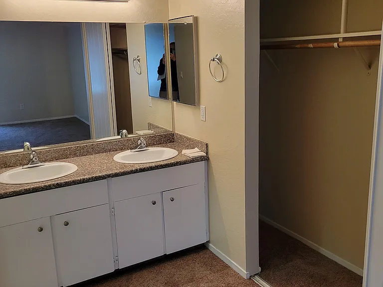 master bathroom sink & closet, toilet and shower to the left