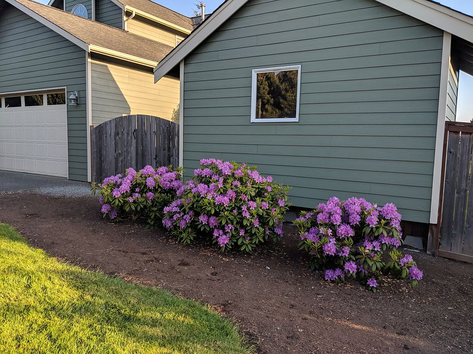 2nd image of 2210 21st St