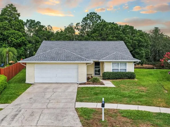 11807 Cedarfield Dr, Riverview, FL 33579