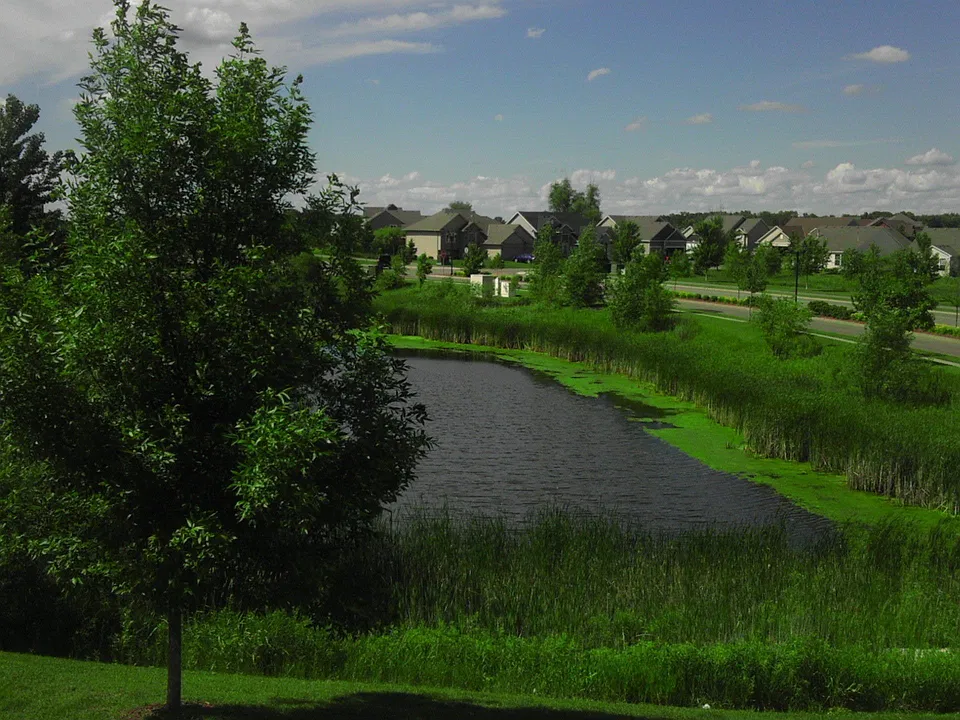 View from front of house